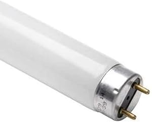 Fluorescent lamp Spectralux®Plus NL-T8 30W/865/G13 : Amazon.it ...